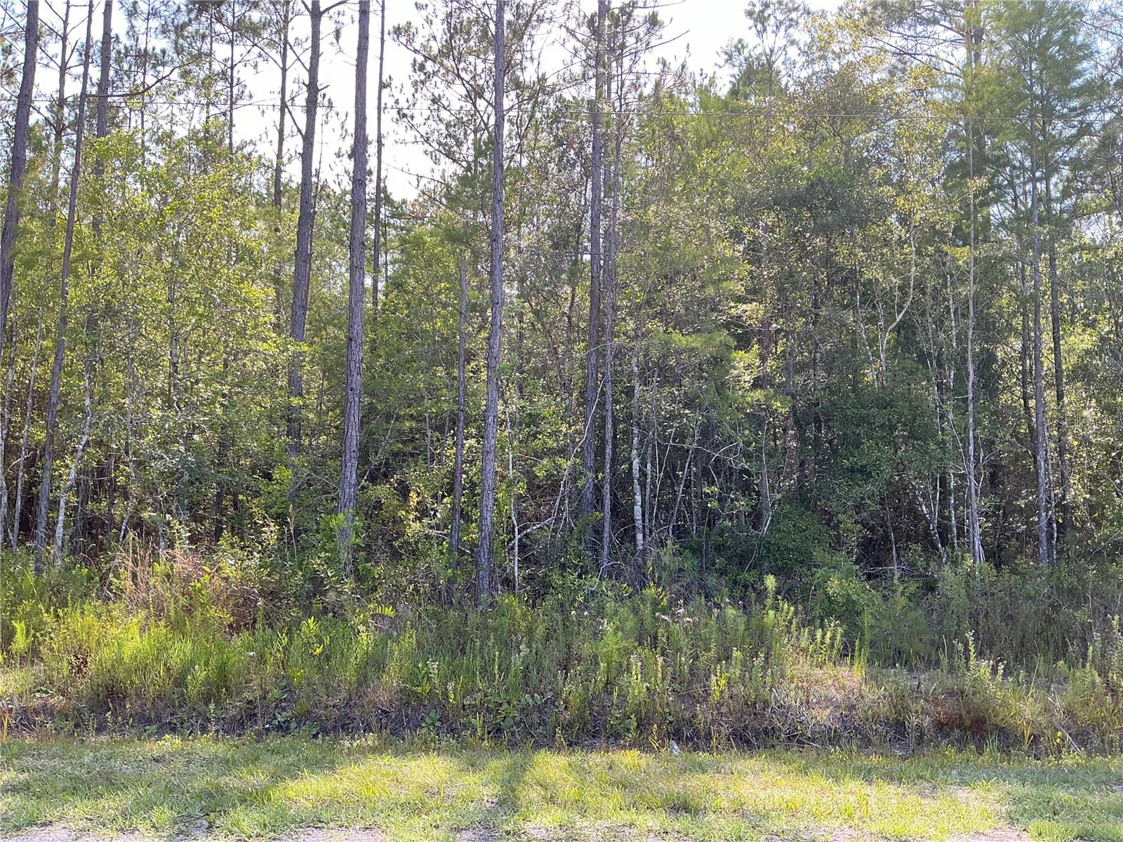 00 CROTTY AVE #1, HASTINGS, FL, 32145