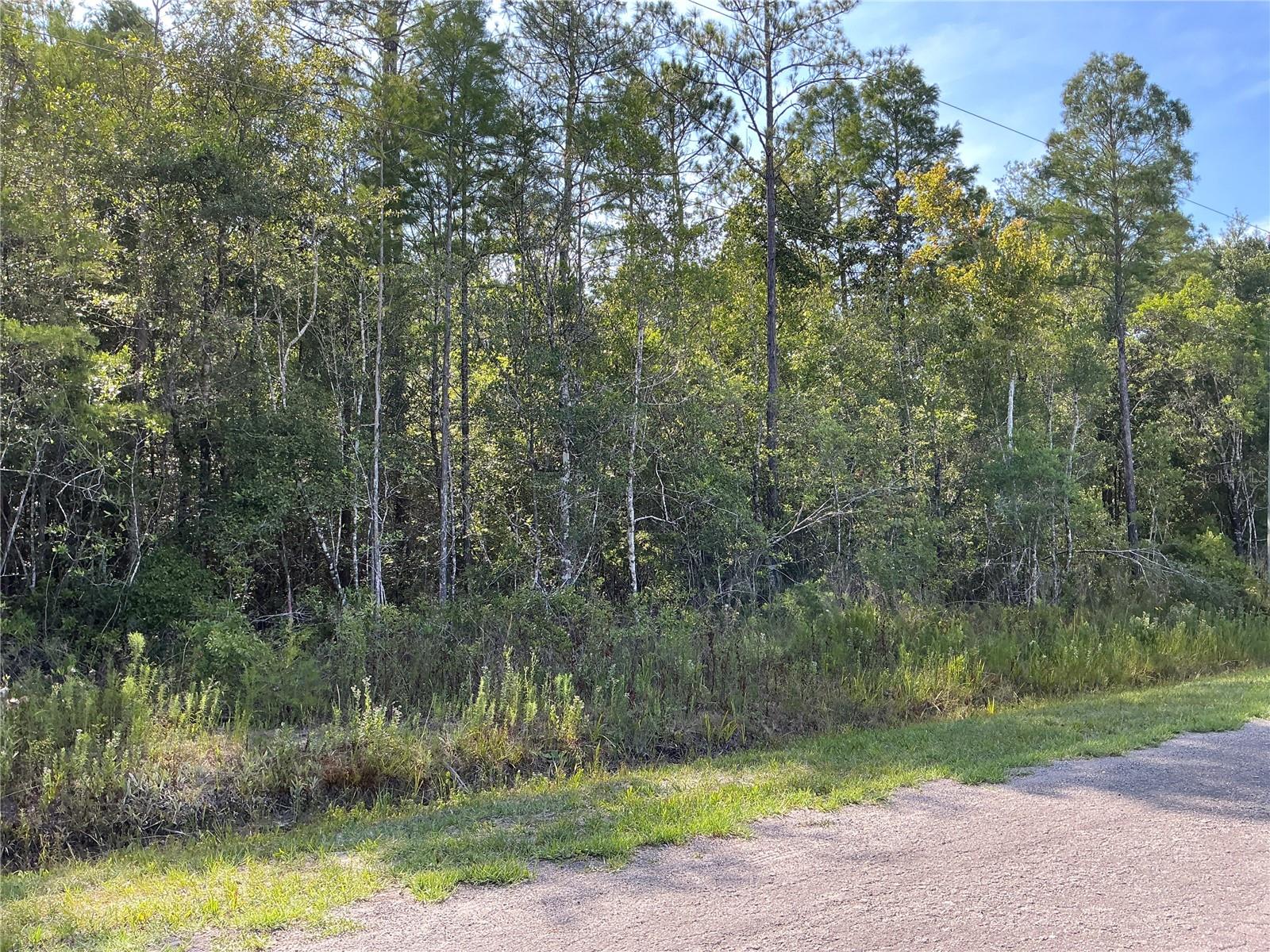 00 CROTTY AVE #1, HASTINGS, FL, 32145