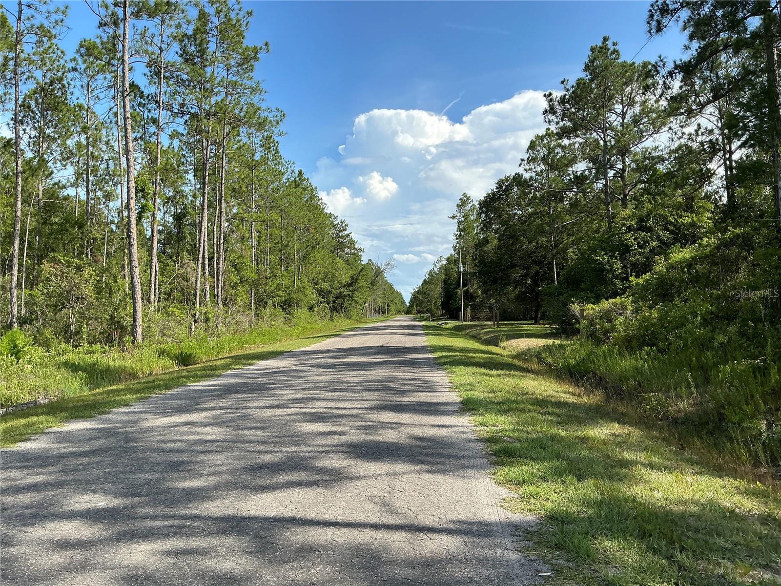 00 CROTTY AVE #1, HASTINGS, FL, 32145