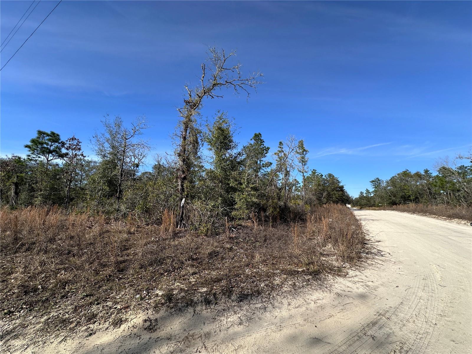 tbd NE 117TH TER, WILLISTON, FL, 32696