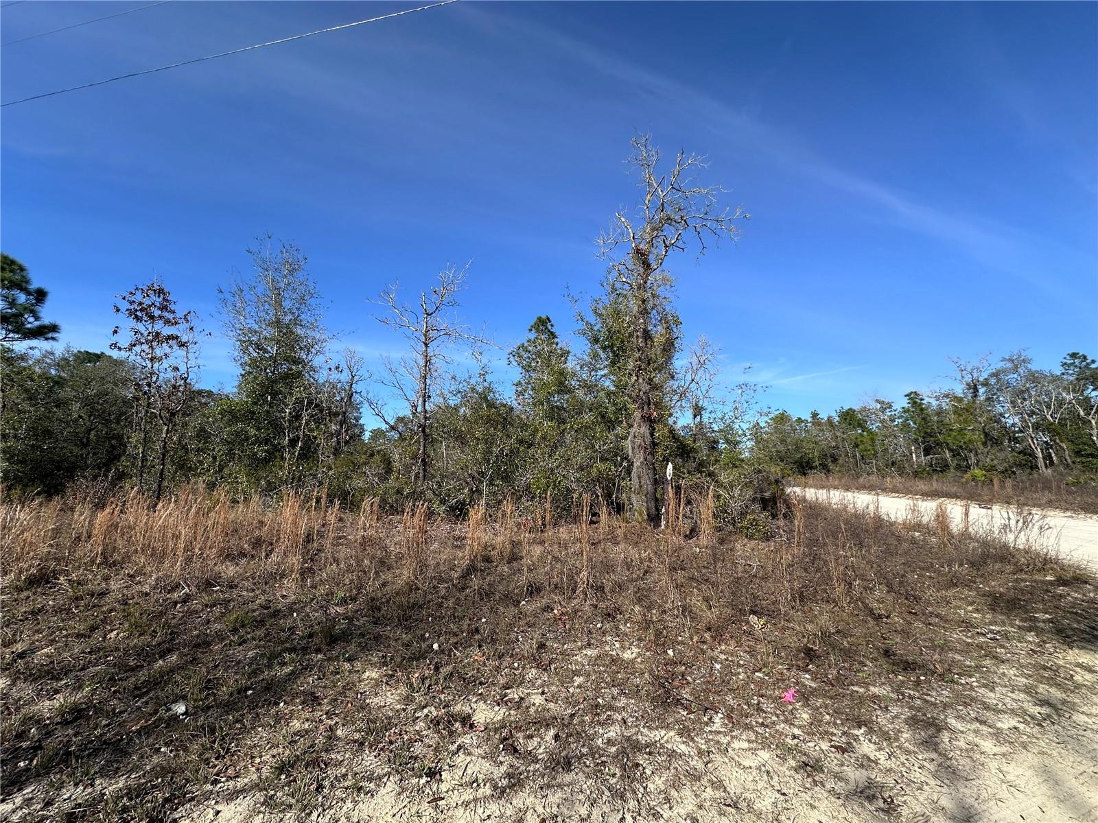 tbd NE 117TH TER, WILLISTON, FL, 32696