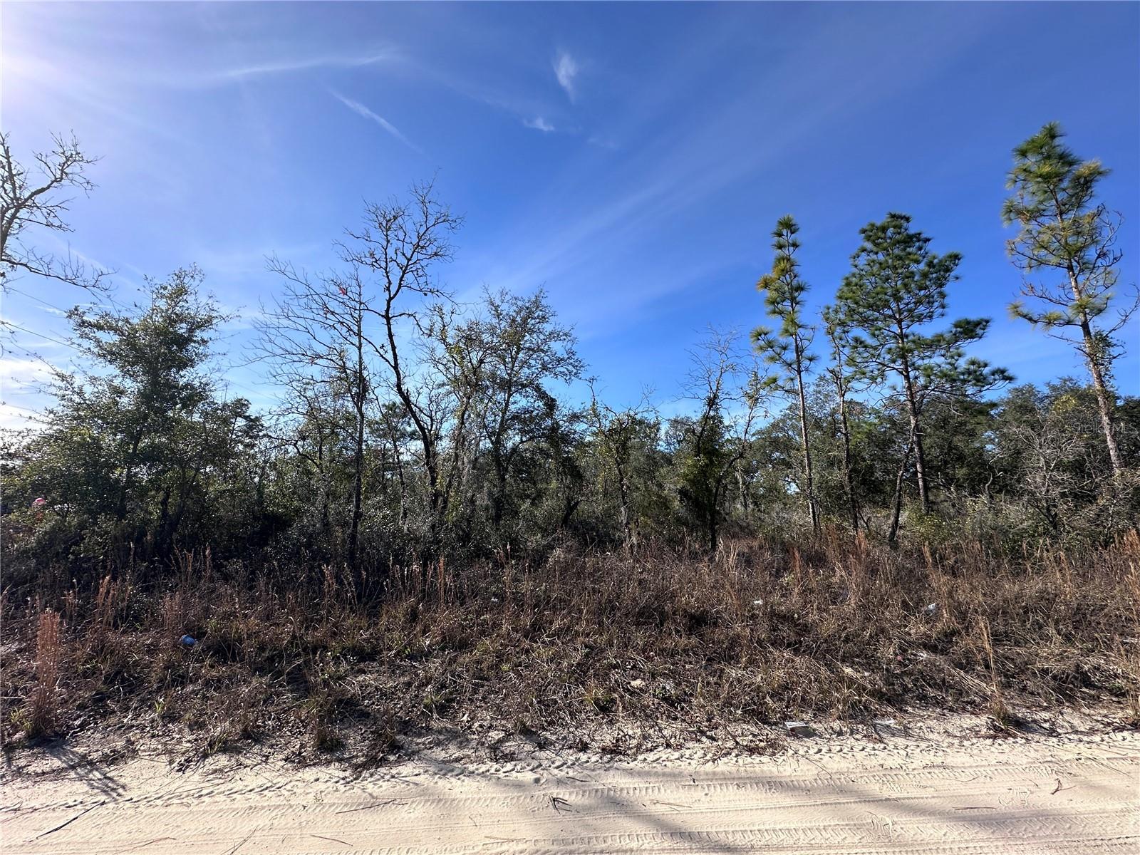 tbd NE 117TH TER, WILLISTON, FL, 32696