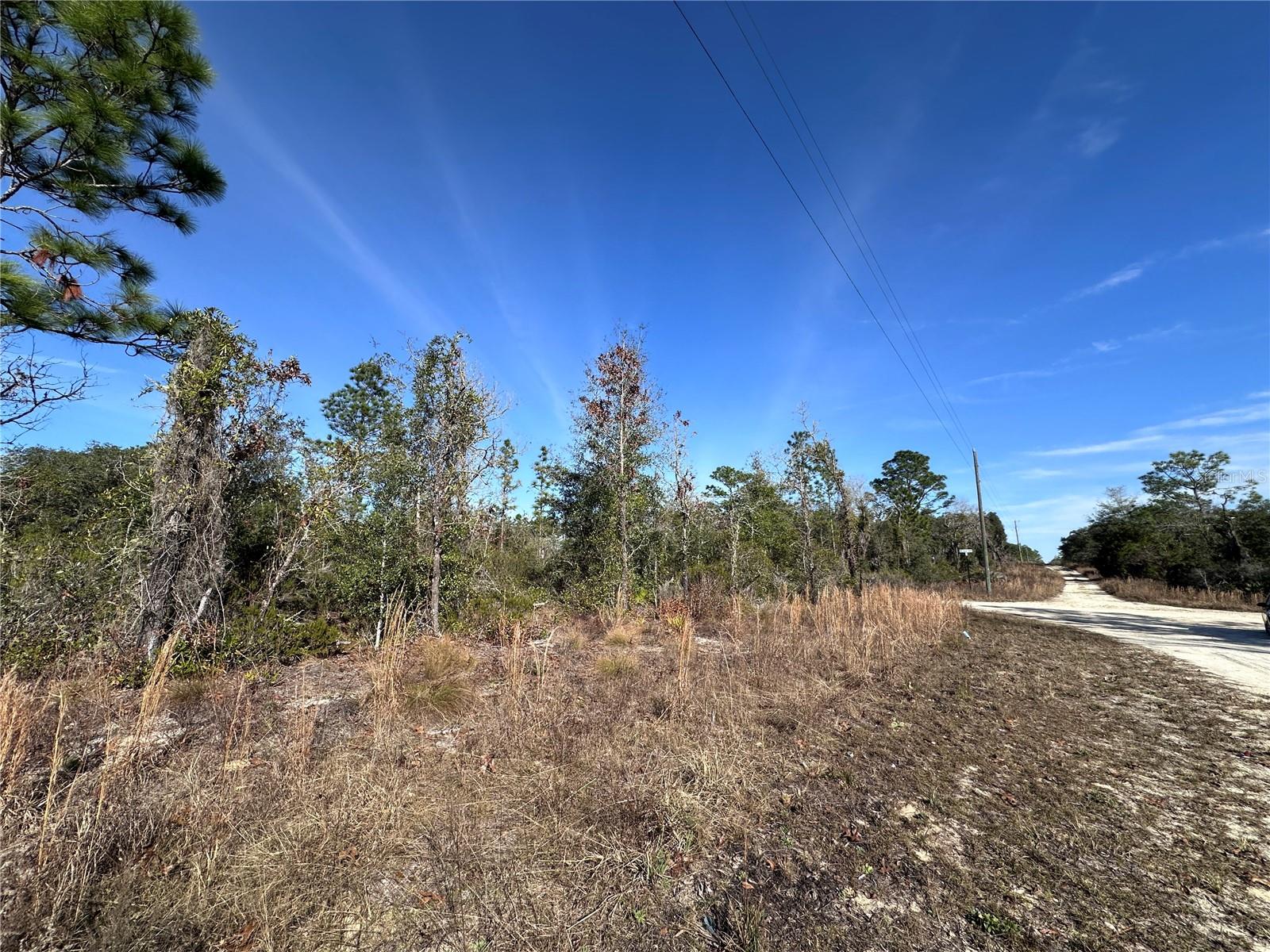 tbd NE 117TH TER, WILLISTON, FL, 32696
