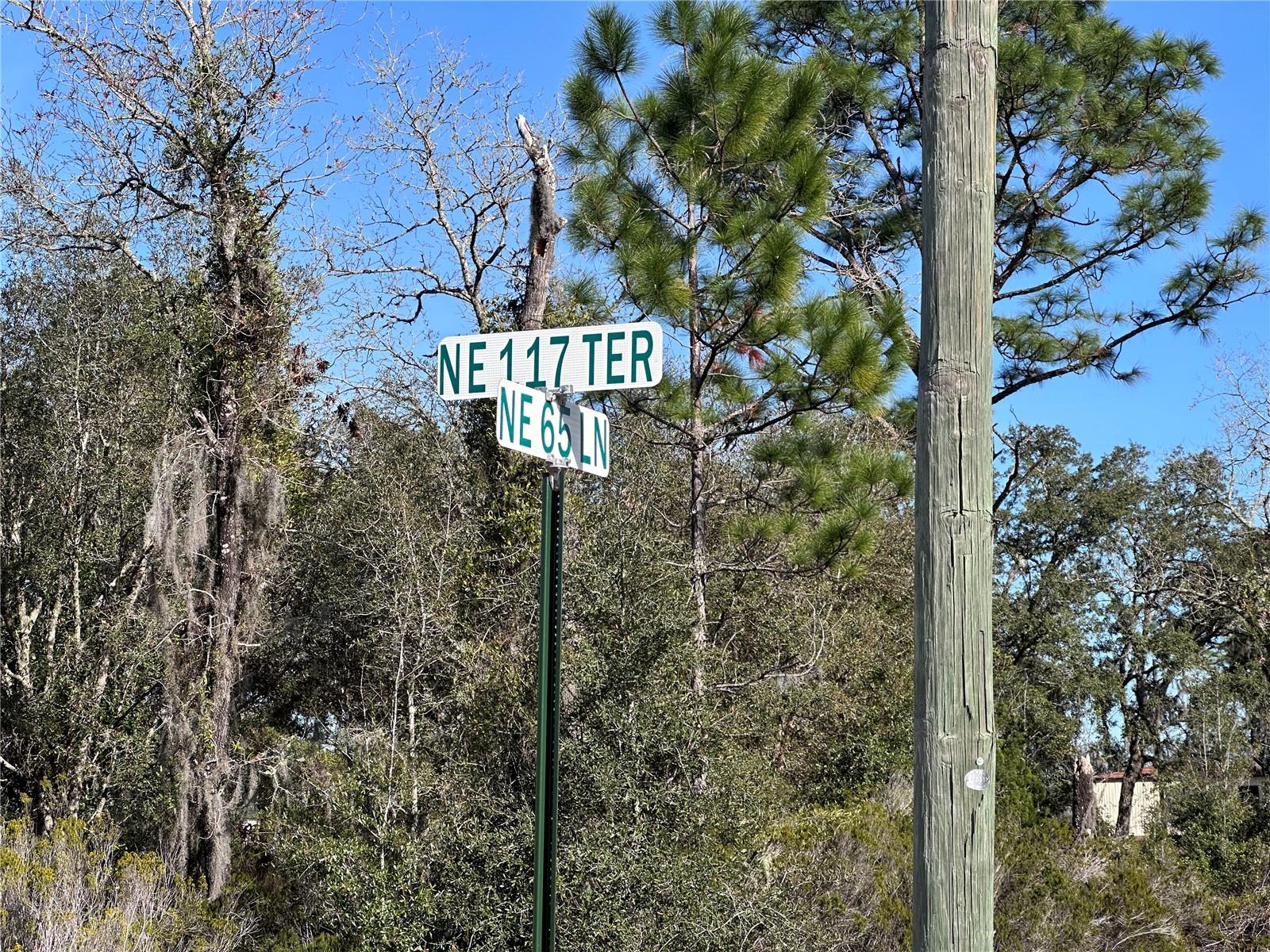 tbd NE 117TH TER, WILLISTON, FL, 32696