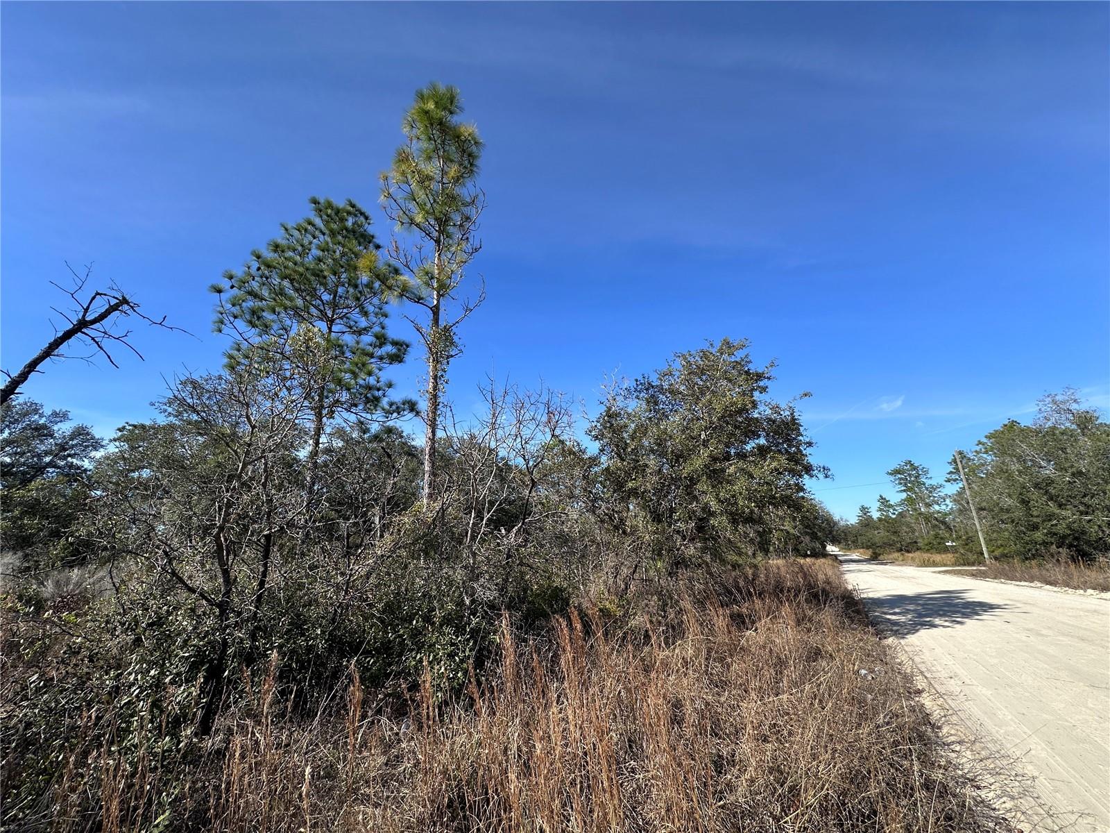 tbd NE 117TH TER, WILLISTON, FL, 32696