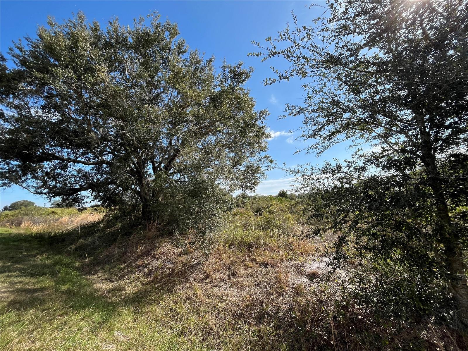 20066 NW 264TH ST, OKEECHOBEE, FL, 34972