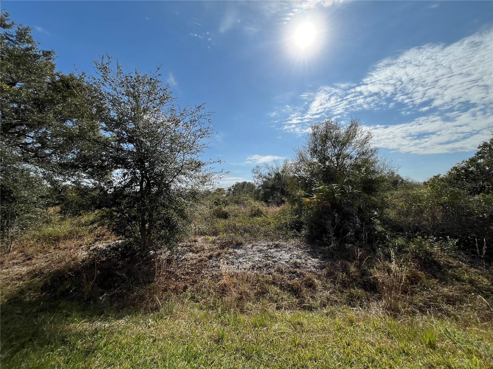 20066 NW 264TH ST, OKEECHOBEE, FL, 34972
