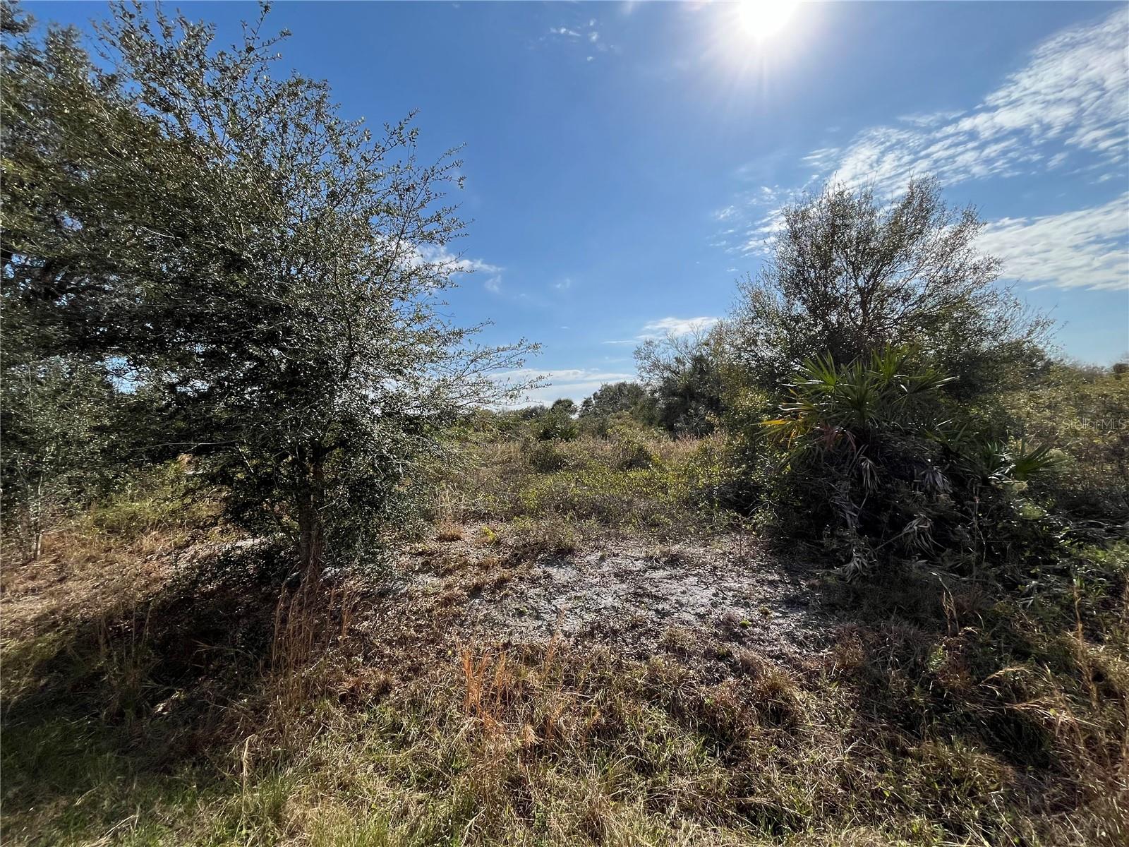 20066 NW 264TH ST, OKEECHOBEE, FL, 34972