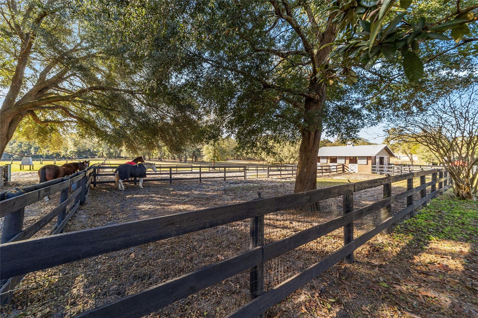 414 NE 155TH STREET RD, CITRA, FL, 32113