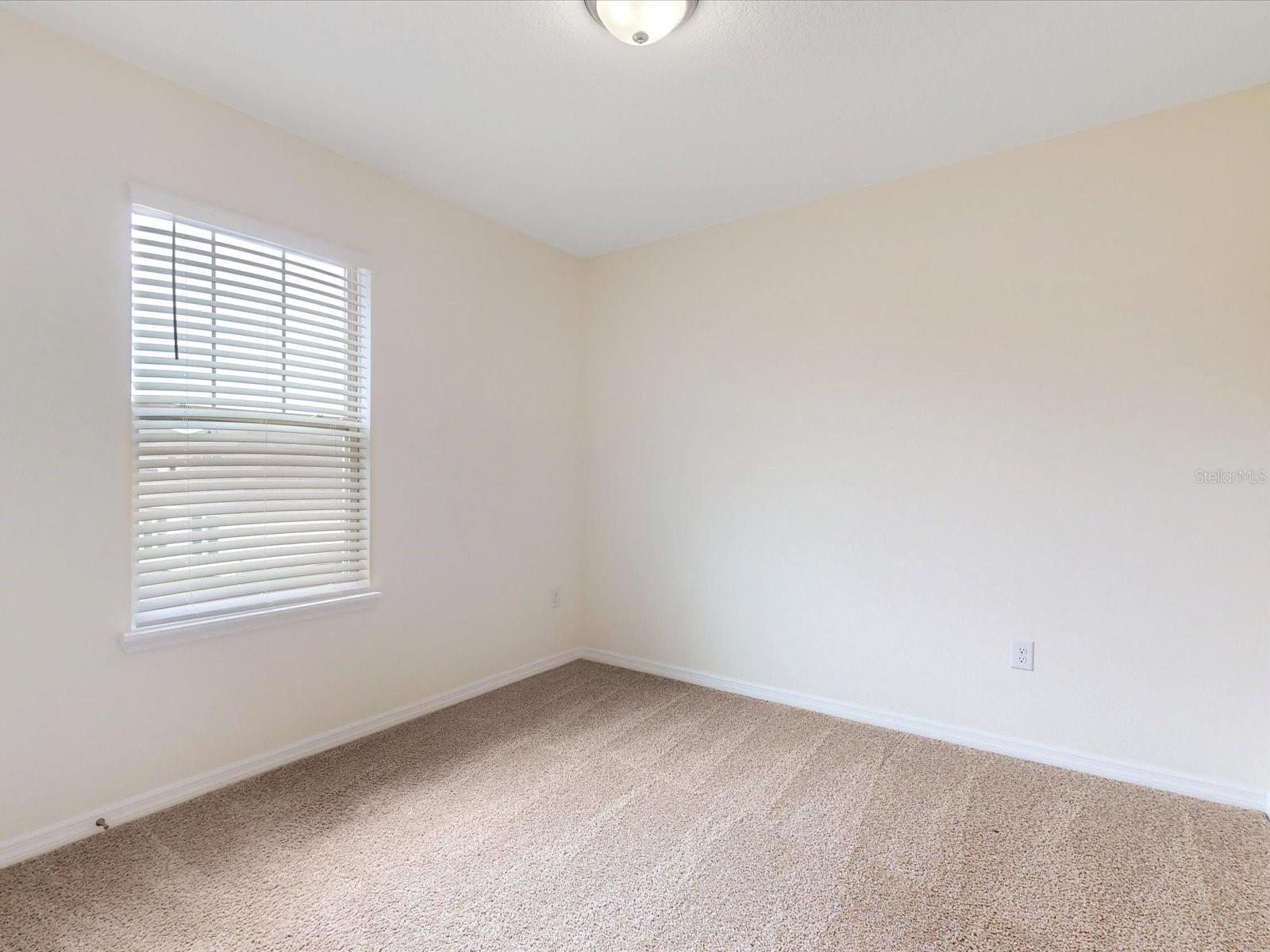 16067 SCARPETTA ST, WINTER GARDEN, FL, 34787