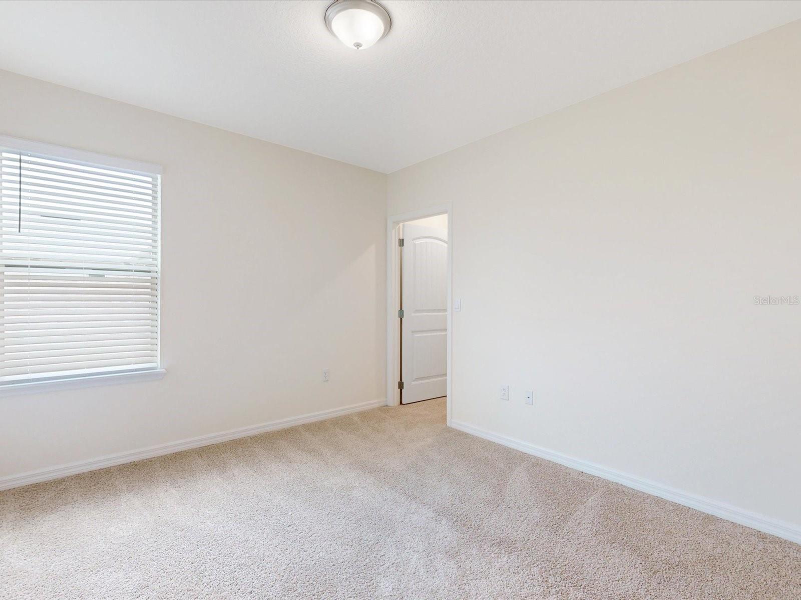 16067 SCARPETTA ST, WINTER GARDEN, FL, 34787