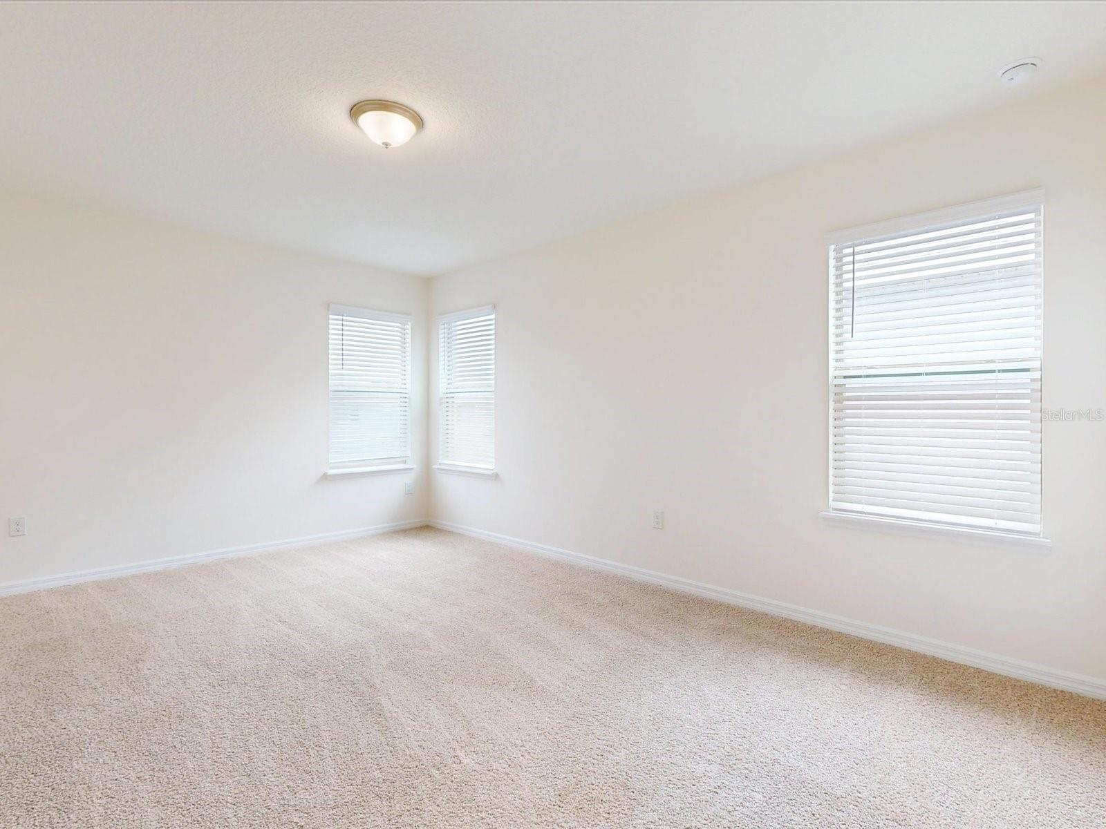 16067 SCARPETTA ST, WINTER GARDEN, FL, 34787