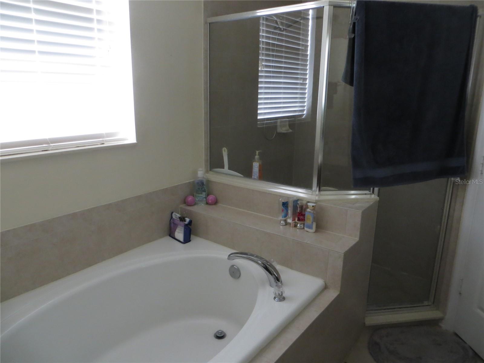 9092 SAINT ANDREWS WAY, MOUNT DORA, FL, 32757