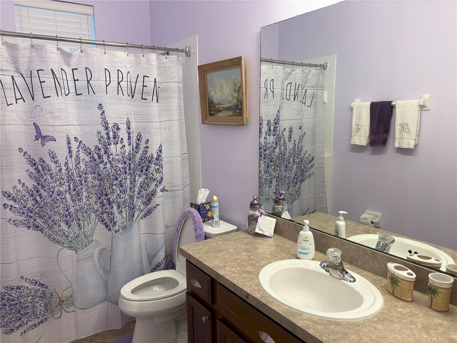 9092 SAINT ANDREWS WAY, MOUNT DORA, FL, 32757