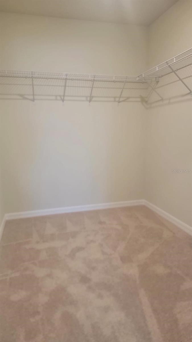 16223 TRINIDAD WAY, CLERMONT, FL, 34714