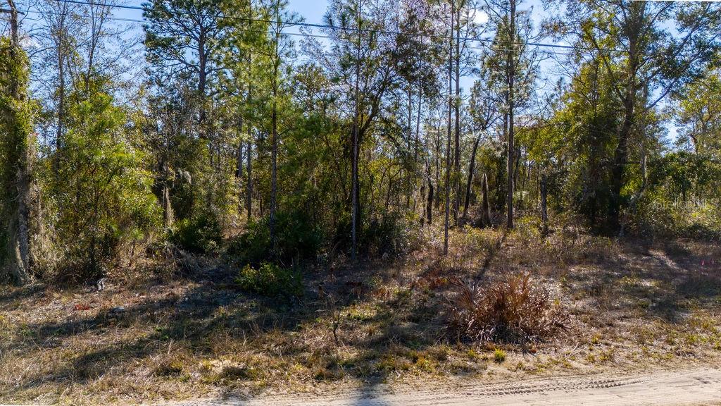 NE 60 LN, BRONSON, FL, 32621