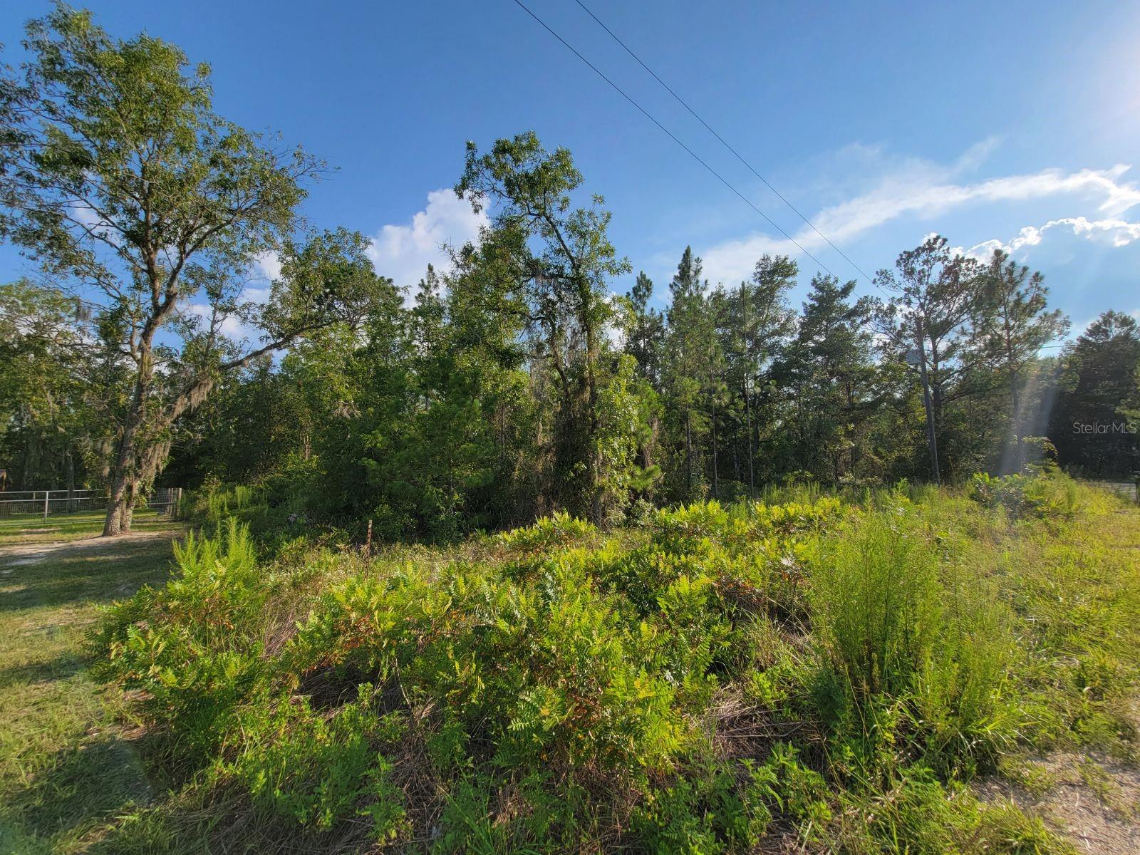 NE 60 LN, BRONSON, FL, 32621