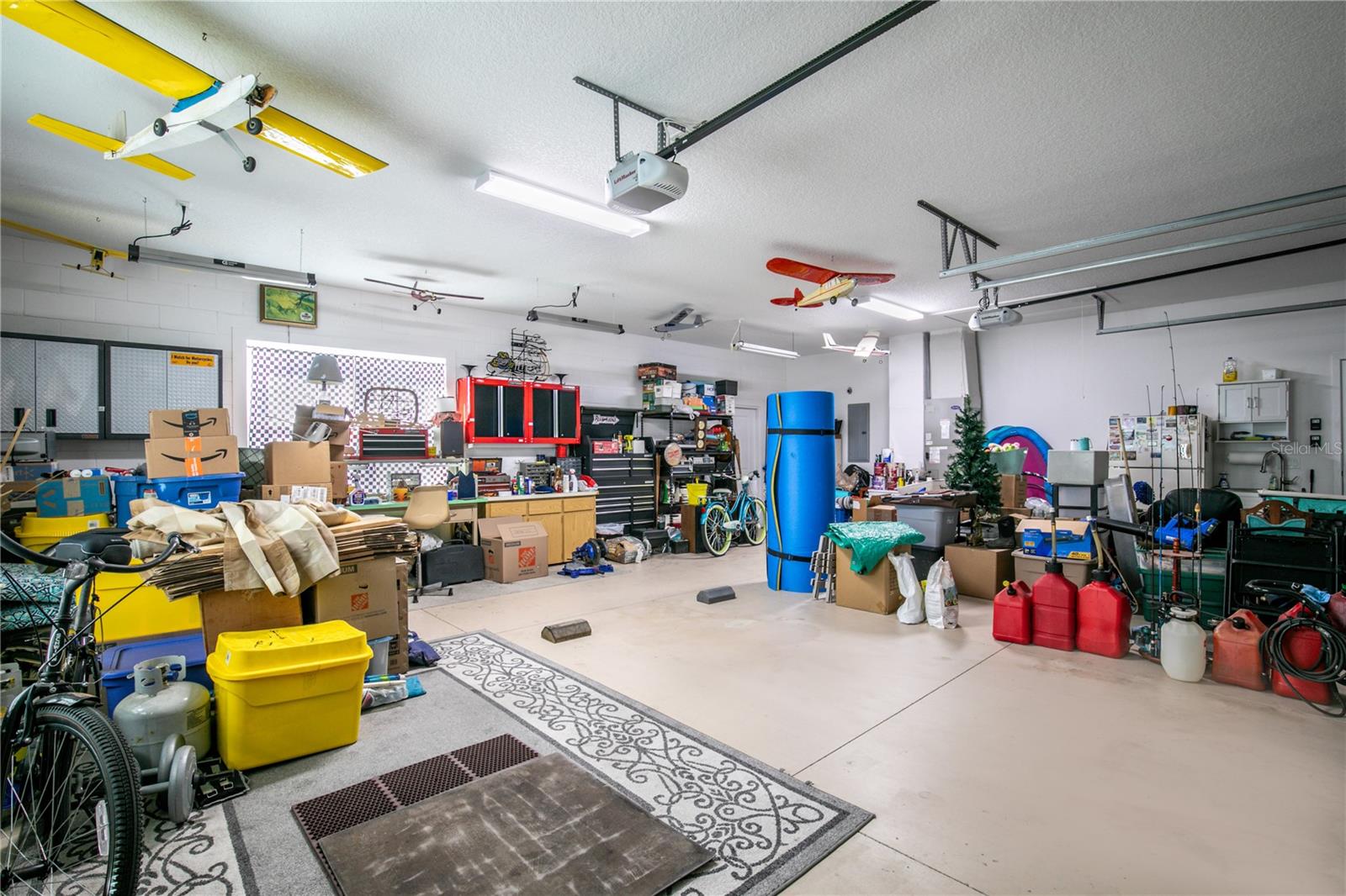 3219 LANDING VW, TAVARES, FL, 32778