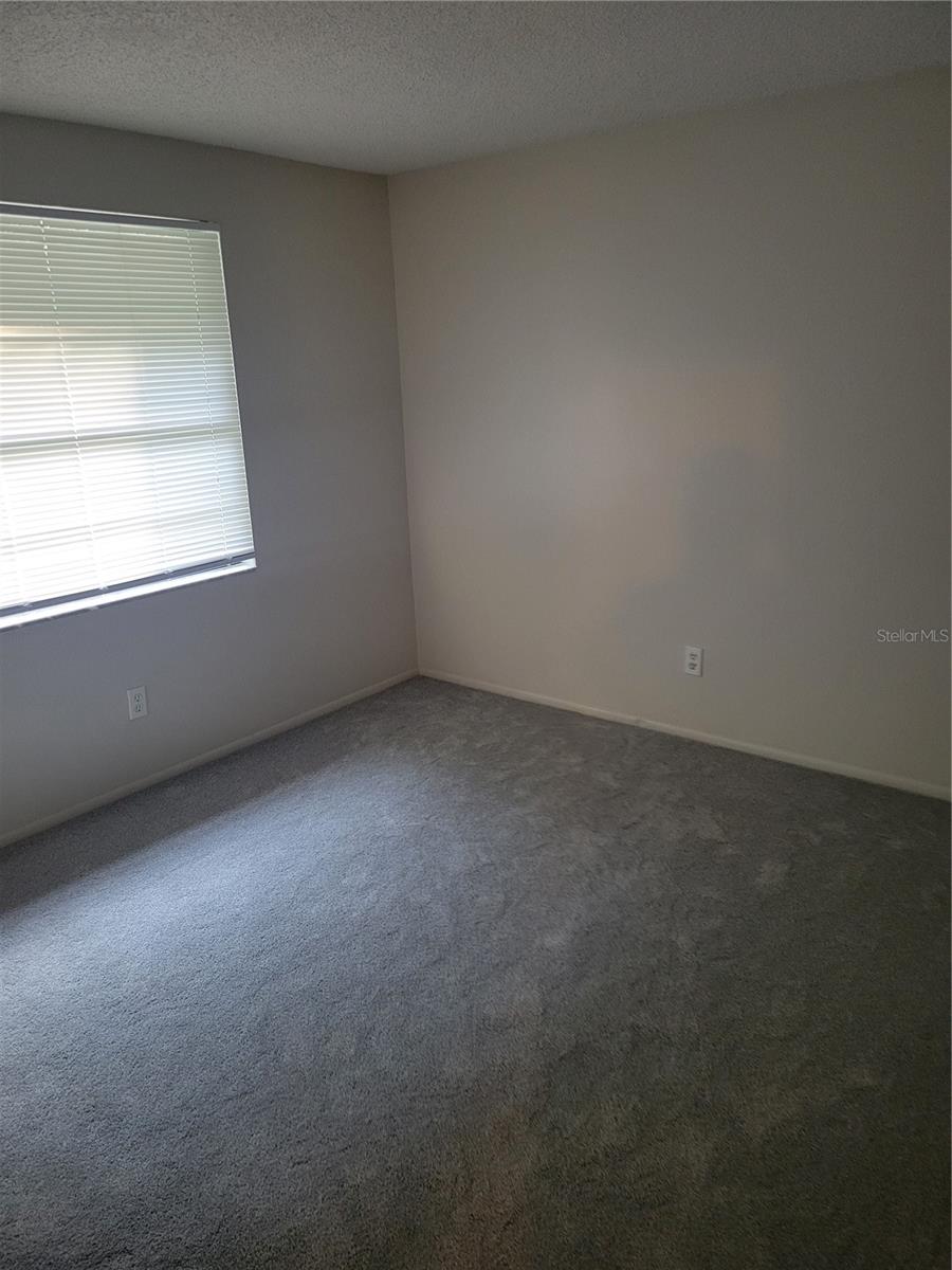 9710 WHISTLER CT, TAMPA, FL, 33615