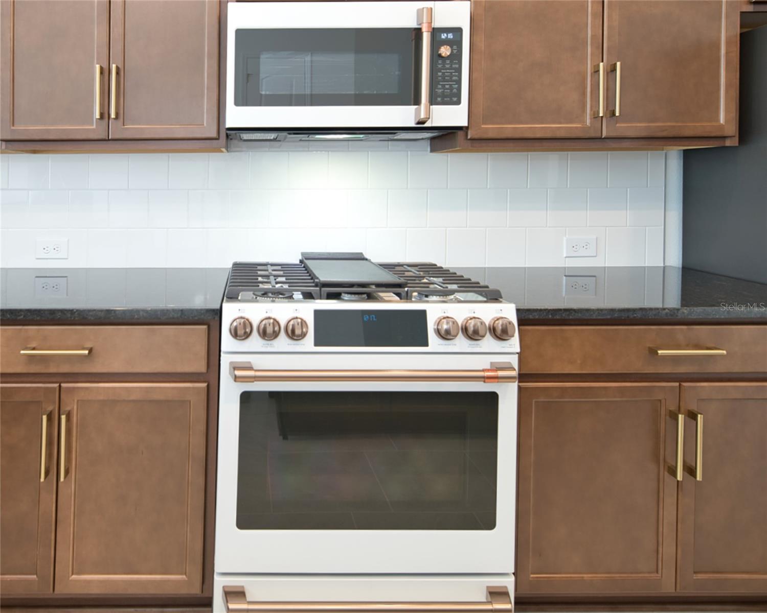 1209 WILDER OAKS WAY, OAKLAND, FL, 34787
