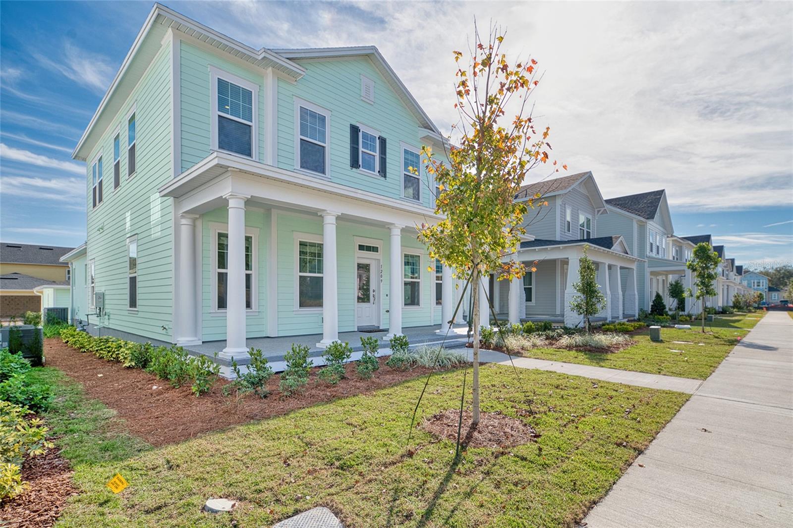 1209 WILDER OAKS WAY, OAKLAND, FL, 34787