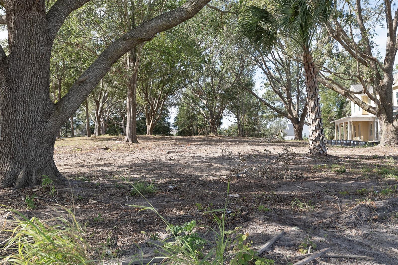 1209 WILDER OAKS WAY, OAKLAND, FL, 34787