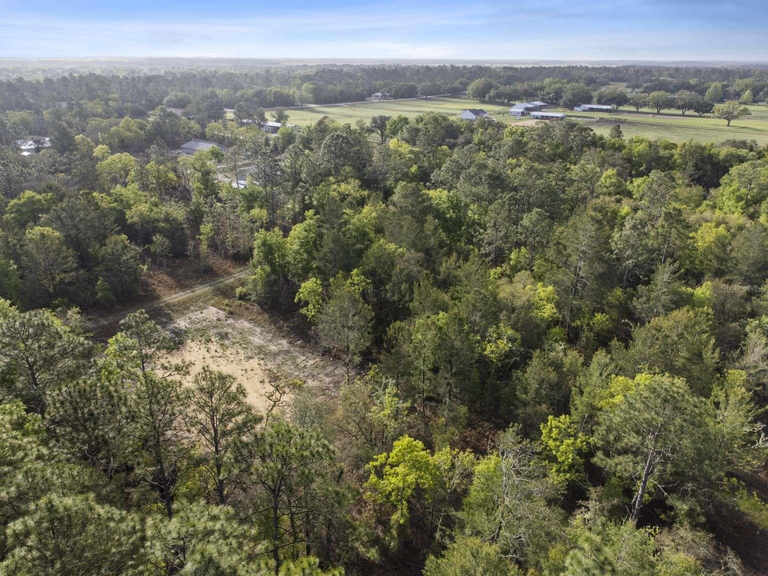 11 / 77 NE 148 CT, WILLISTON, FL, 32696