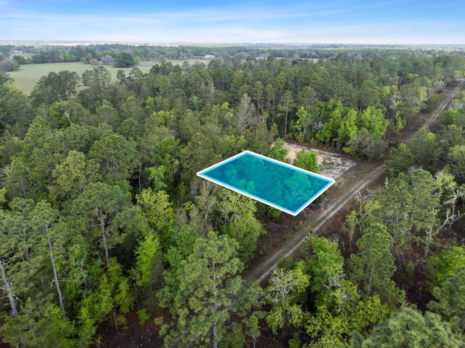 11 / 77 NE 148 CT, WILLISTON, FL, 32696