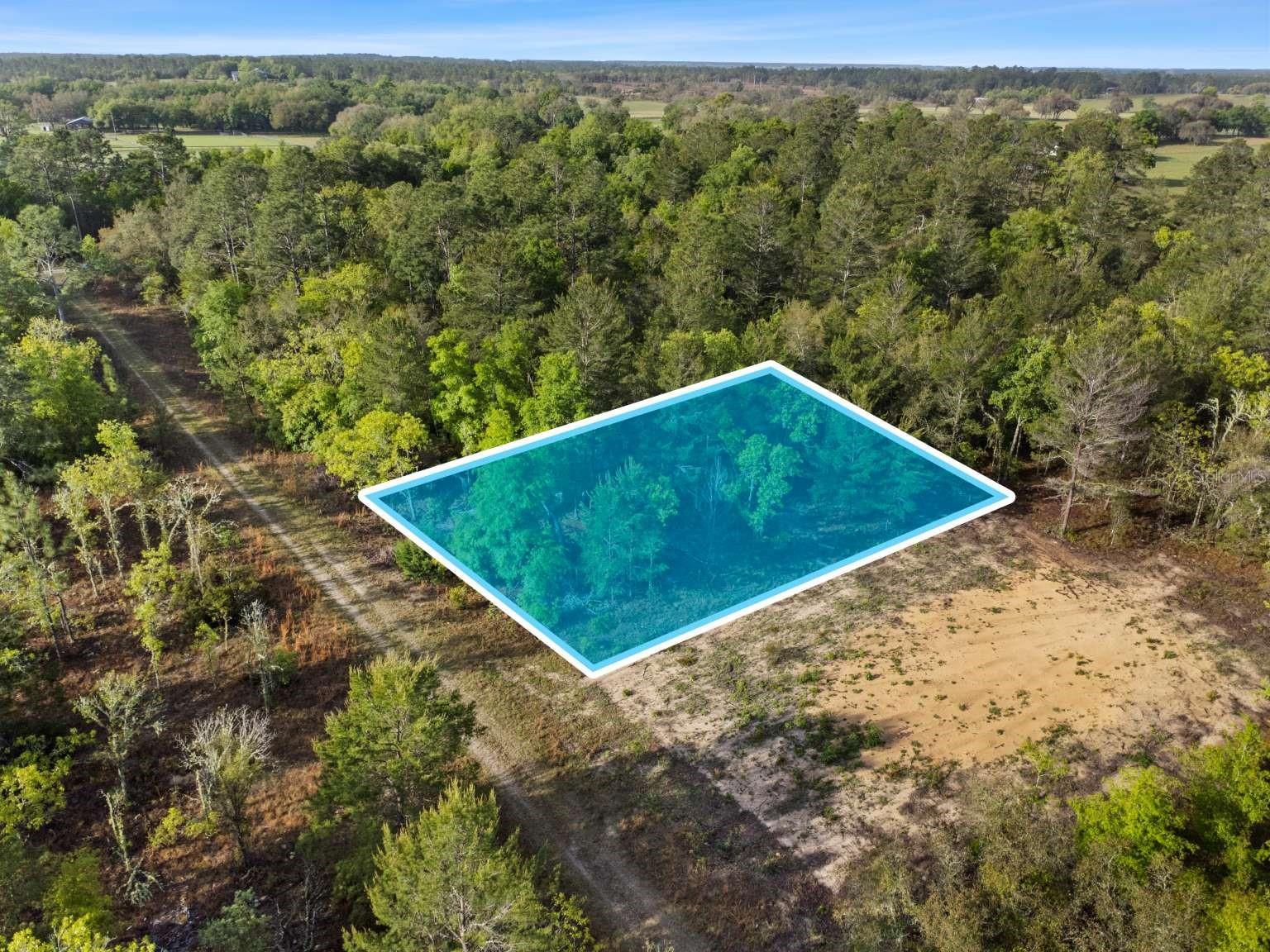 11 / 77 NE 148 CT, WILLISTON, FL, 32696