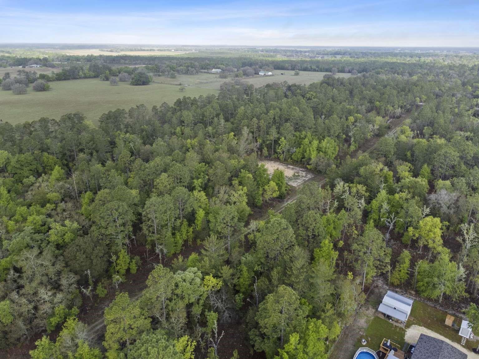 11 / 77 NE 148 CT, WILLISTON, FL, 32696