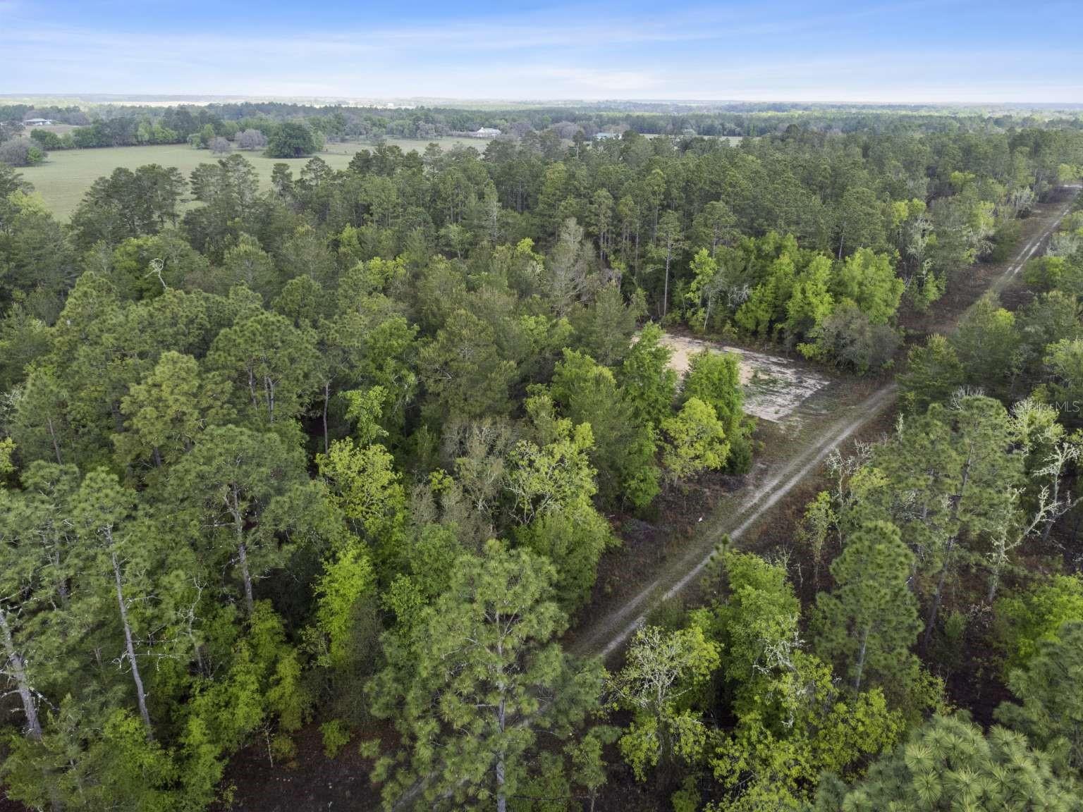 11 / 77 NE 148 CT, WILLISTON, FL, 32696