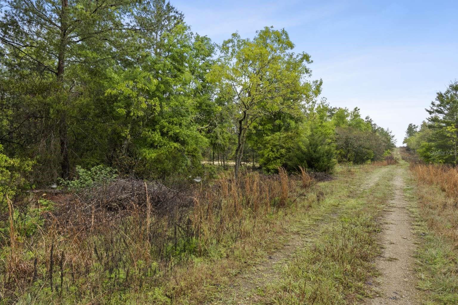 11 / 77 NE 148 CT, WILLISTON, FL, 32696