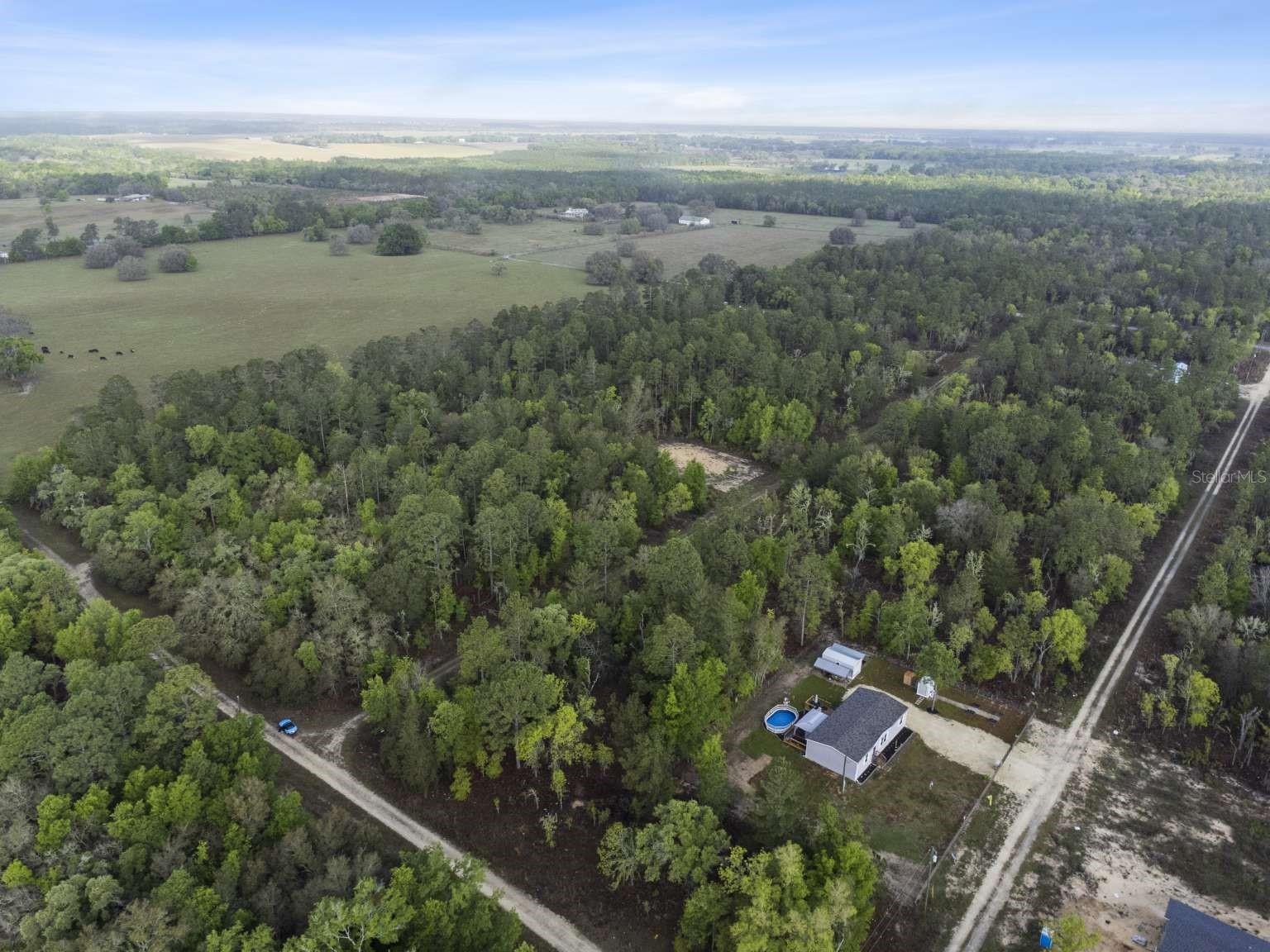 11 / 77 NE 148 CT, WILLISTON, FL, 32696