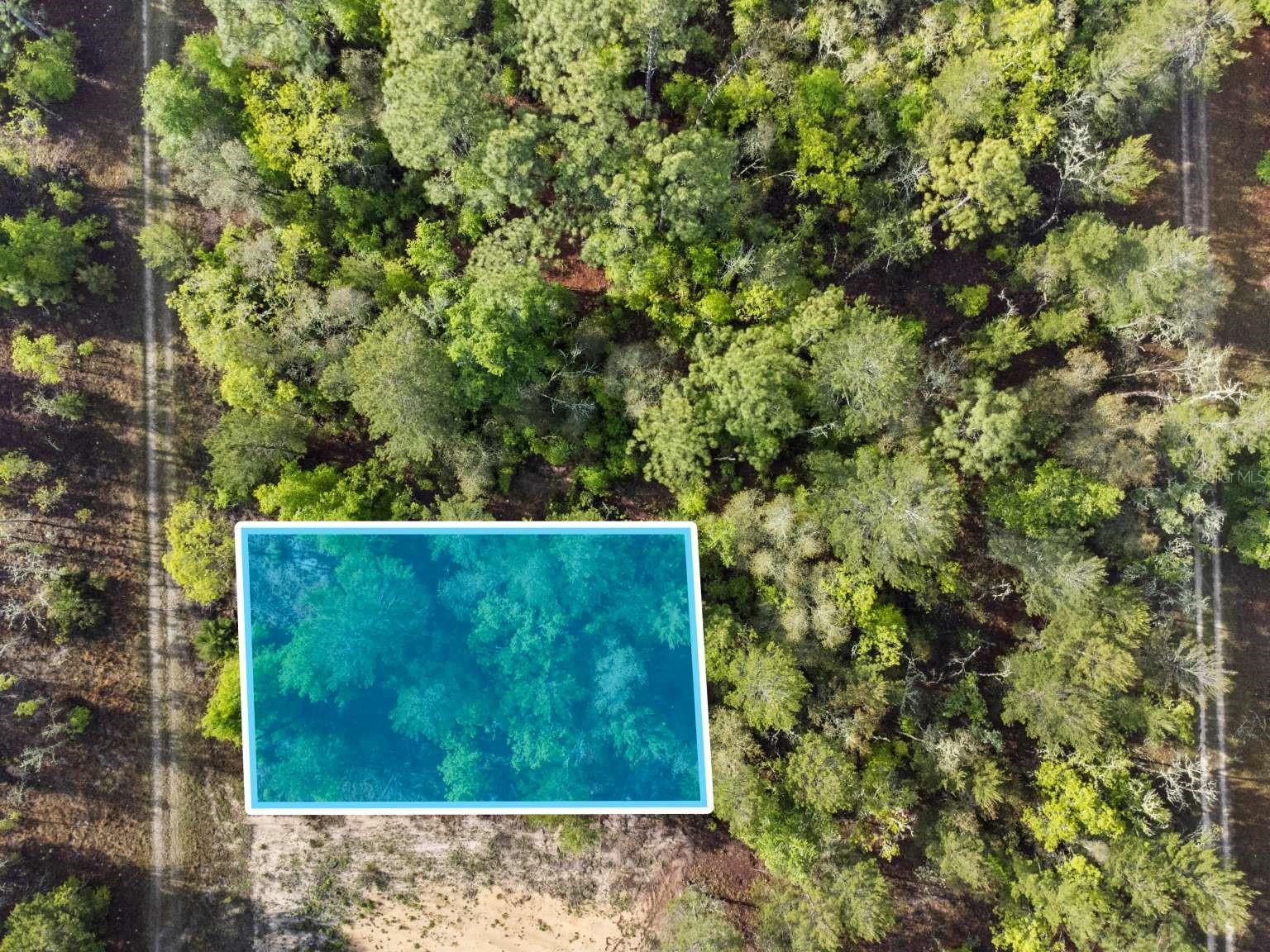 11 / 77 NE 148 CT, WILLISTON, FL, 32696