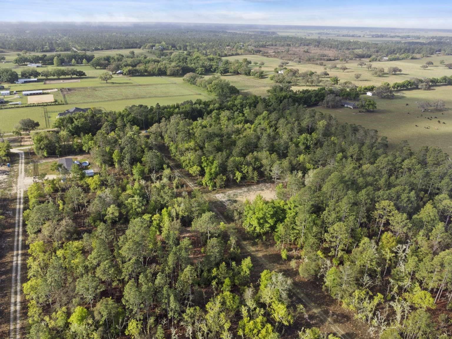 11 / 77 NE 148 CT, WILLISTON, FL, 32696