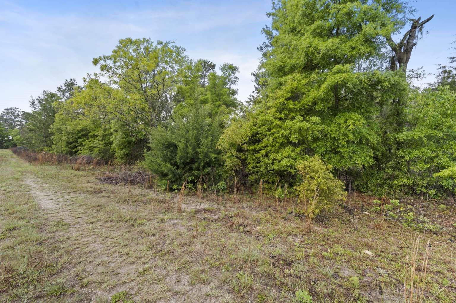 11 / 77 NE 148 CT, WILLISTON, FL, 32696
