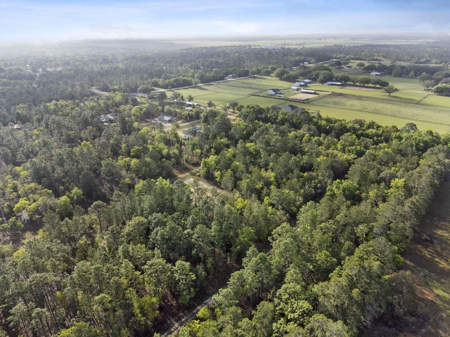 11 / 77 NE 148 CT, WILLISTON, FL, 32696
