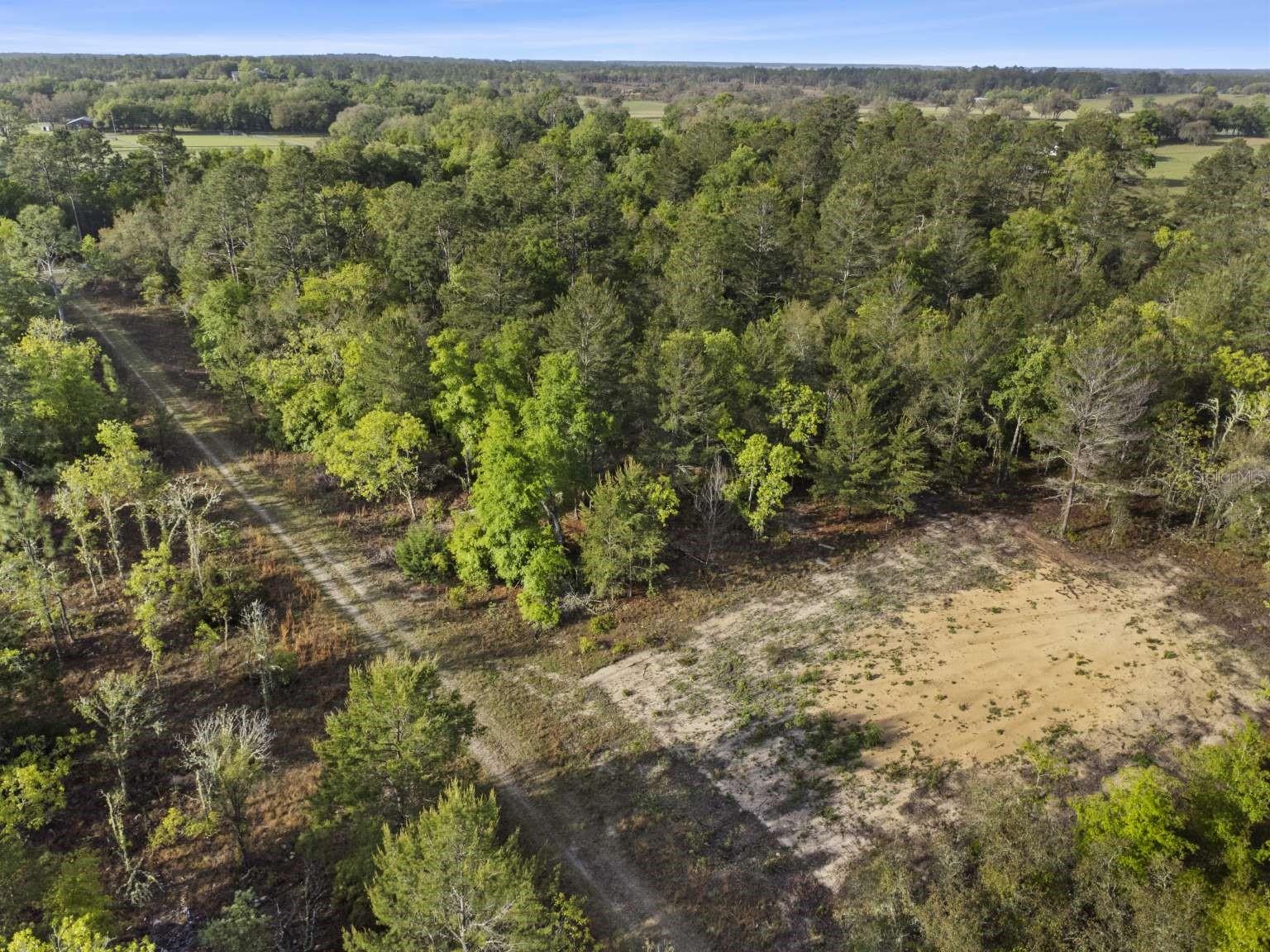 11 / 77 NE 148 CT, WILLISTON, FL, 32696
