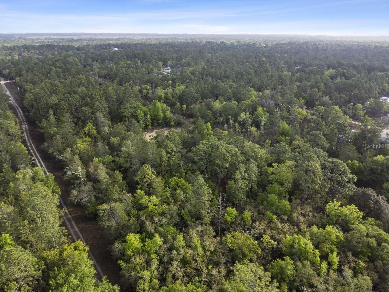 11 / 77 NE 148 CT, WILLISTON, FL, 32696
