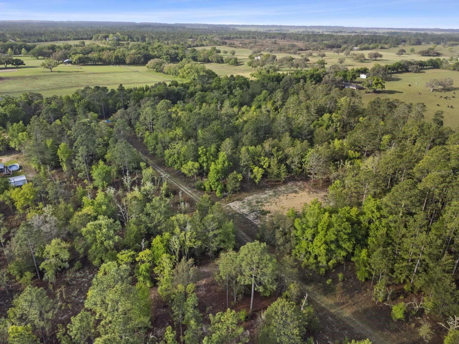 11 / 77 NE 148 CT, WILLISTON, FL, 32696