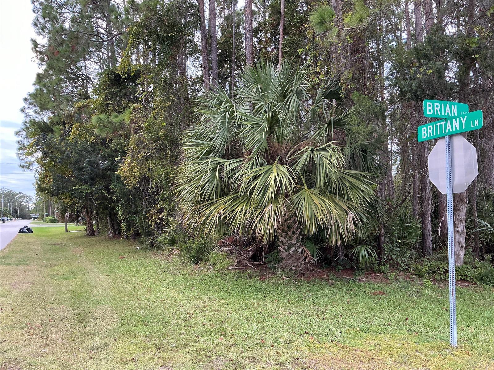 1 BRIAN LN, PALM COAST, FL, 32137