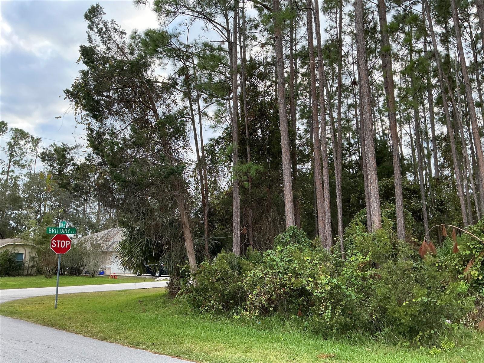 1 BRIAN LN, PALM COAST, FL, 32137