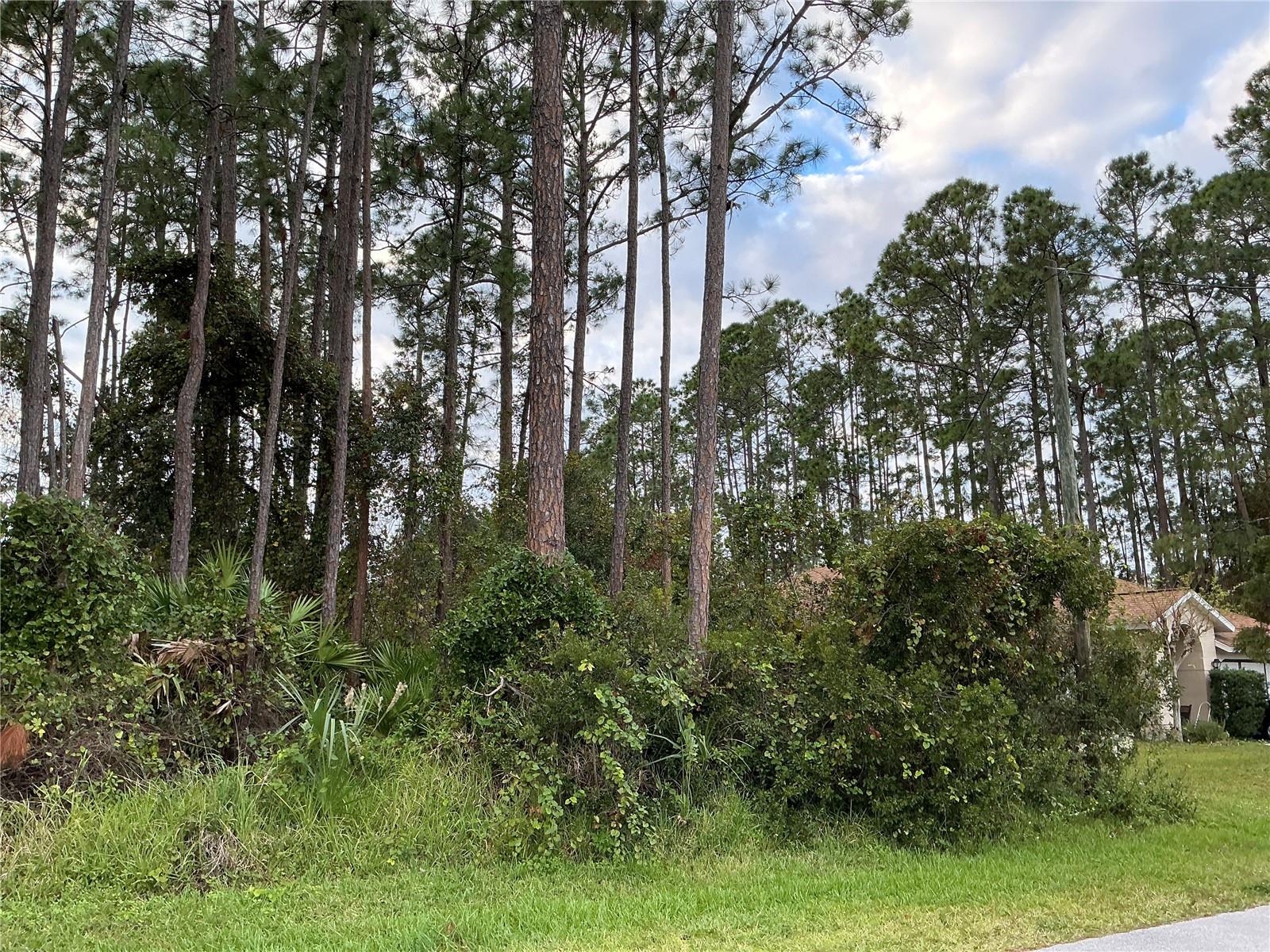 1 BRIAN LN, PALM COAST, FL, 32137