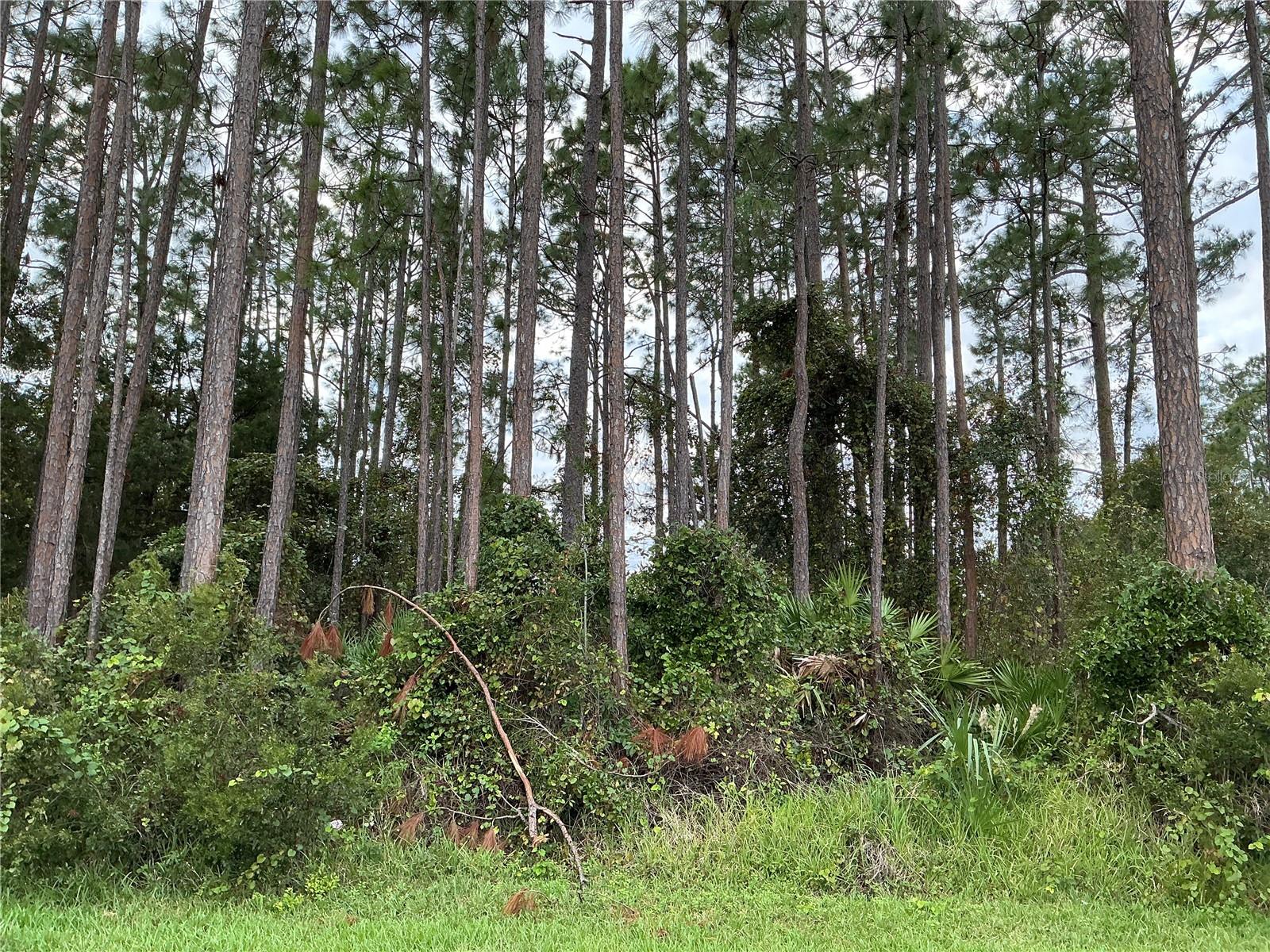 1 BRIAN LN, PALM COAST, FL, 32137