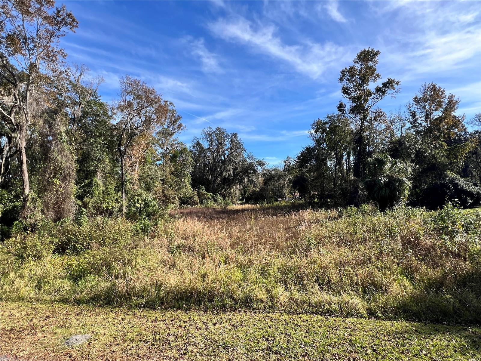 102 DUNLAWTON AVE, SAN MATEO, FL, 32187
