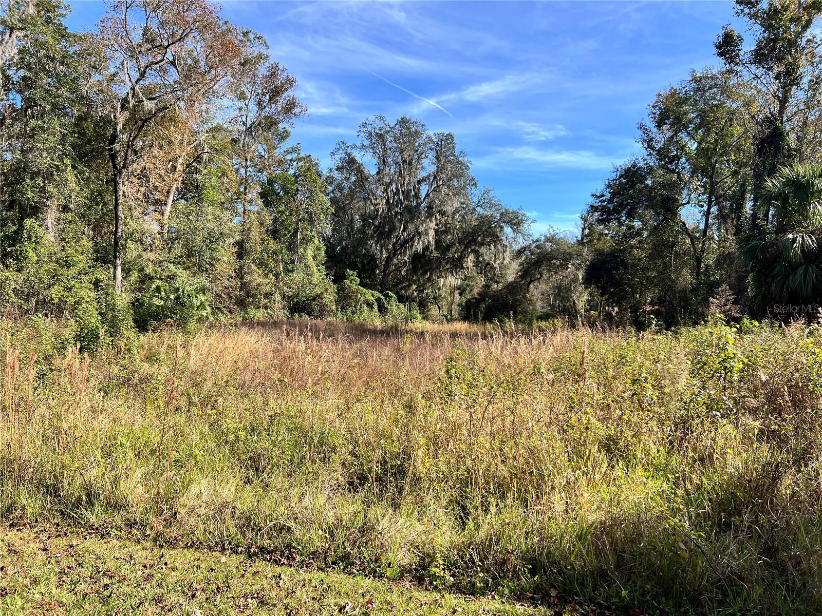 102 DUNLAWTON AVE, SAN MATEO, FL, 32187