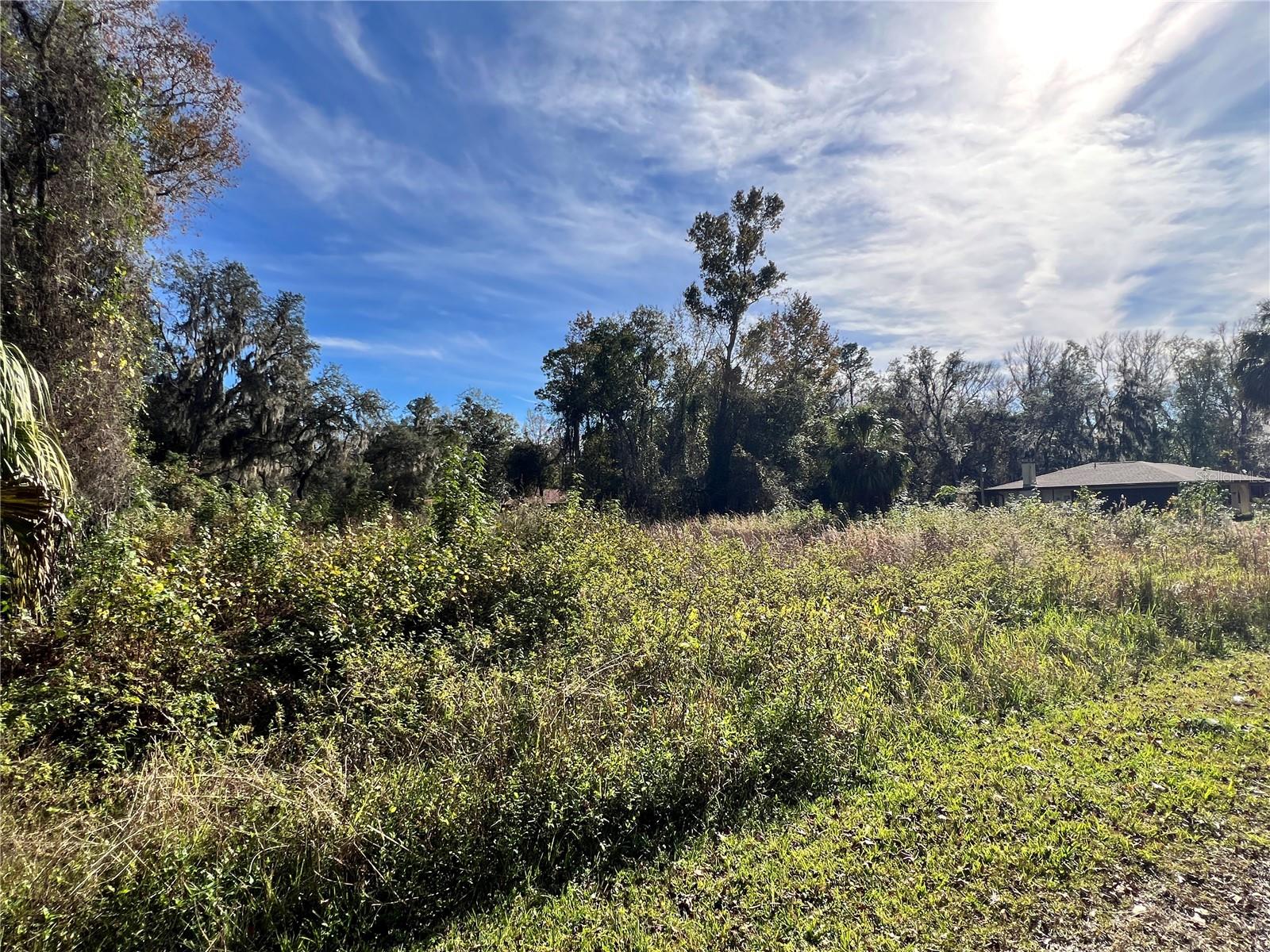 102 DUNLAWTON AVE, SAN MATEO, FL, 32187