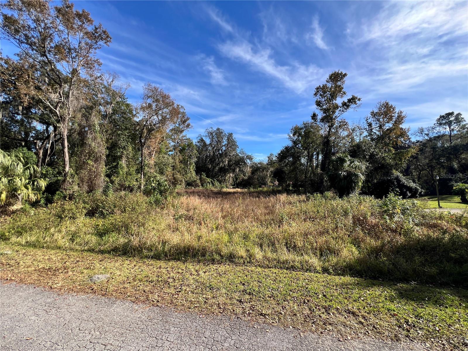 102 DUNLAWTON AVE, SAN MATEO, FL, 32187