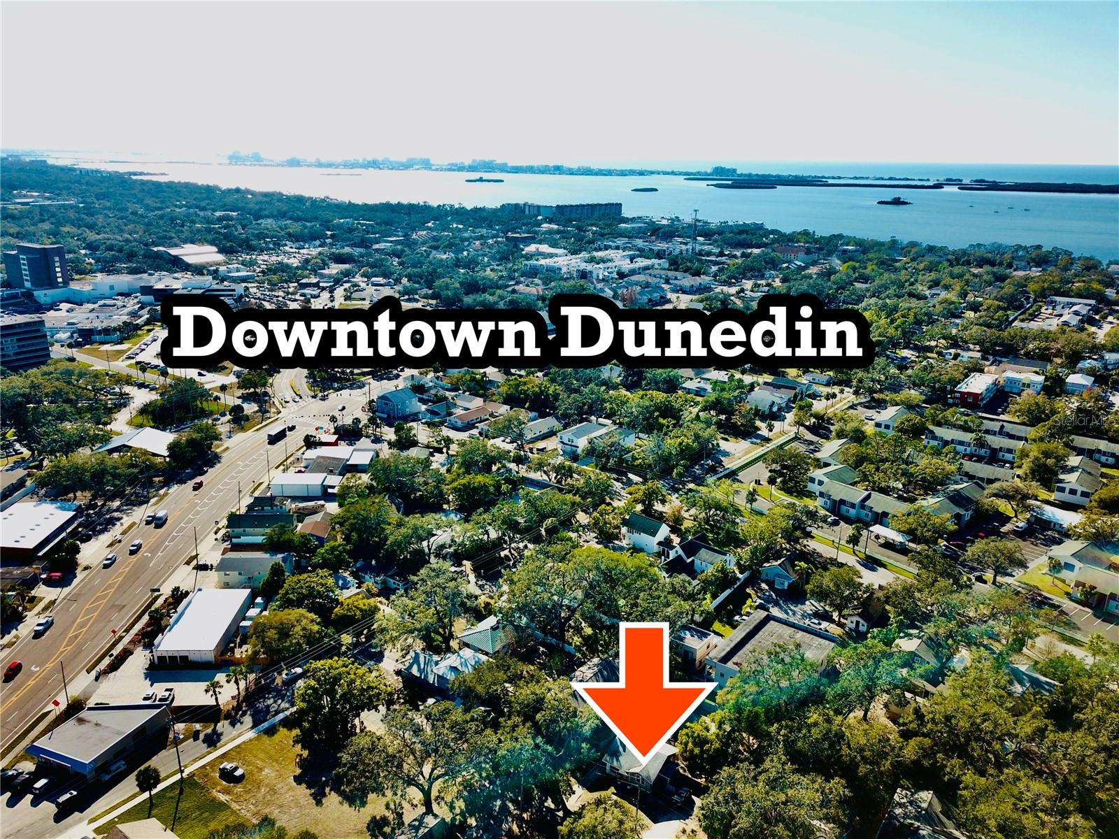 1121 ORANGE AVE, DUNEDIN, FL, 34698