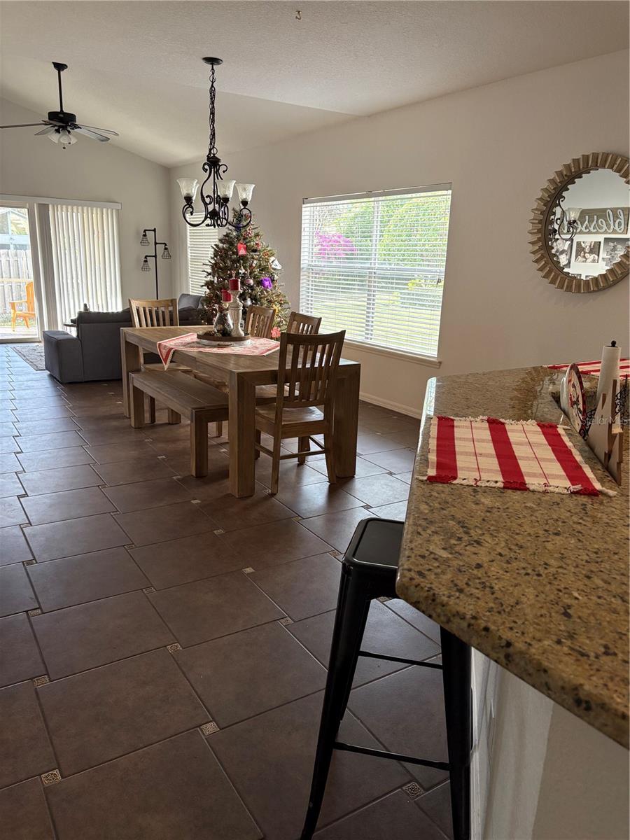 9014 HEATHLAND CT, MOUNT DORA, FL, 32757